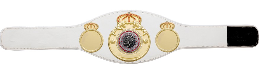 WRESTLING GEM CHAMPIONSHIP BELT PROLION/G/WRESTGEMS - AVAILABLE IN 6+ COLOURS WRESTLING GEM CHAMPIONSHIP BELT PROLION/G/WRESTGEMS - AVAILABLE IN 6+ COLOURS